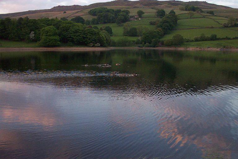 A_night_at_Lady_bower_2nd_June_2010_010.jpg