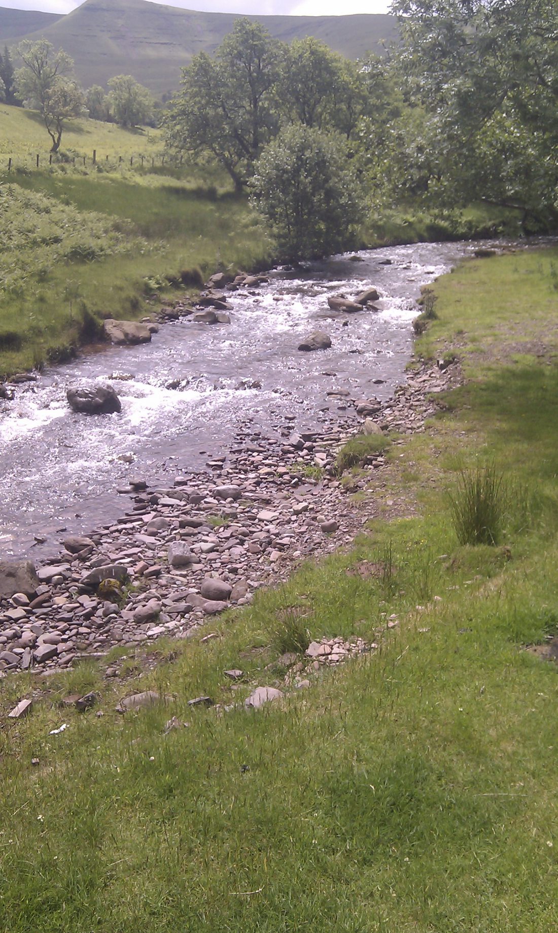 IMAG0045.jpg