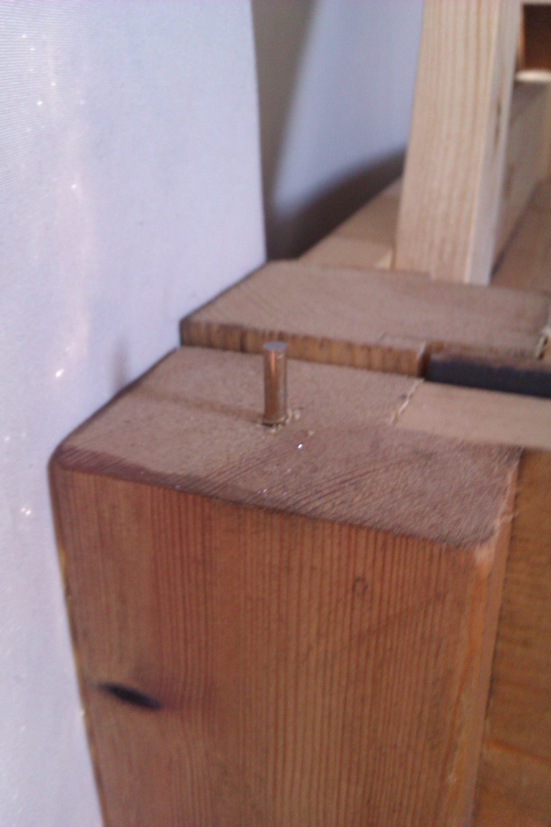 IMAG0111.jpg