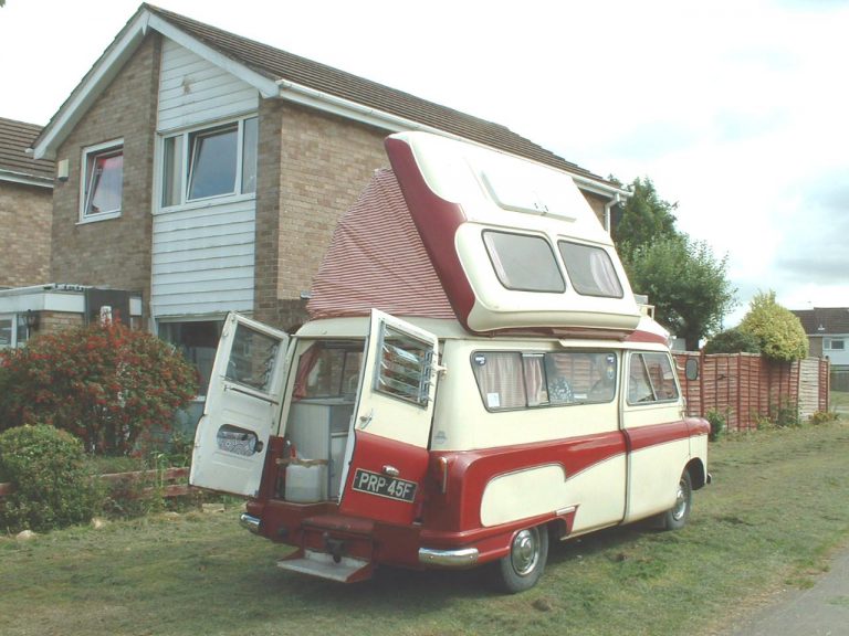 doormouse_012.jpg